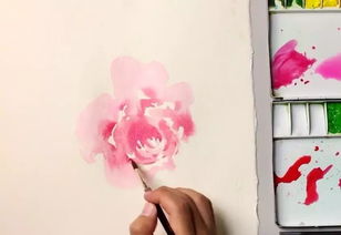手绘教学 如何画一朵漂亮的水彩玫瑰花